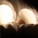 Wooden Mushroom Night Light