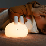 Round Rabbit Night Light