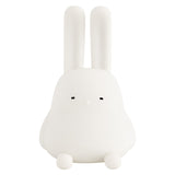 Hanging Rabbit Night Light